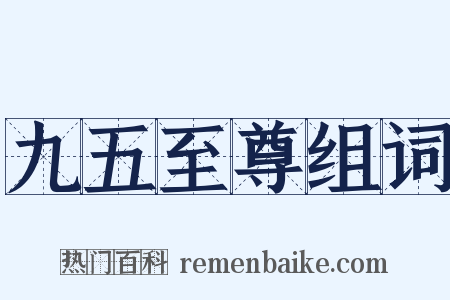 九五至尊组词是什么意思的图片